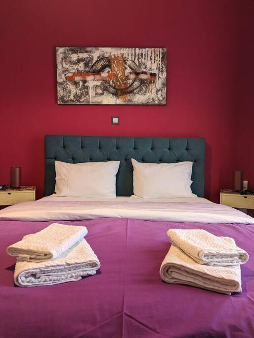 Cozy Apartm.near Metro Ag.marina * Athens
